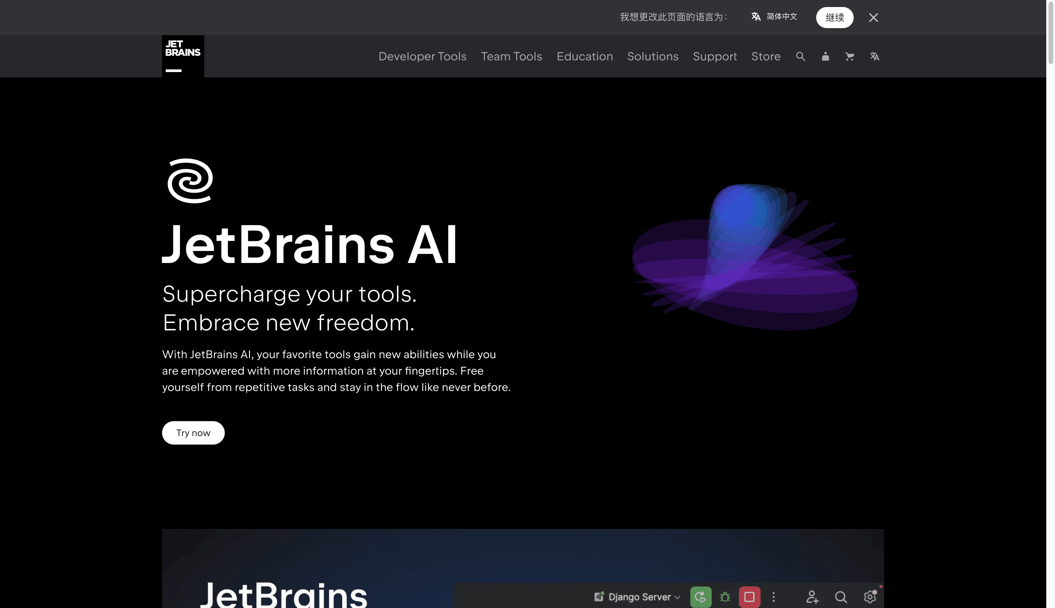 JetBrains AI